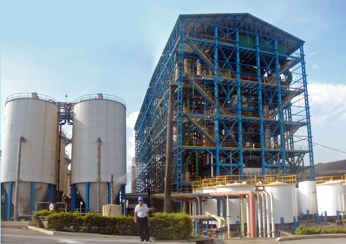 Sugarcane Producers Gain Profit Edge as Ethanol Price Parity Hits 8-Year High